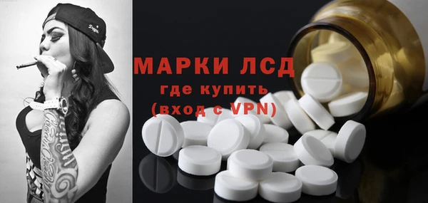 гидропоника Белокуриха