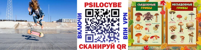 Галлюциногенные грибы Psilocybe  хочу наркоту  Курильск 